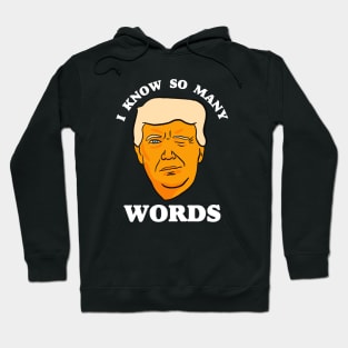 Funny Anti Trump "I Know So Many Words" Hoodie